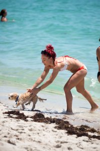 Sharna Burgess - TheFappeningBlog.com 75.jpg