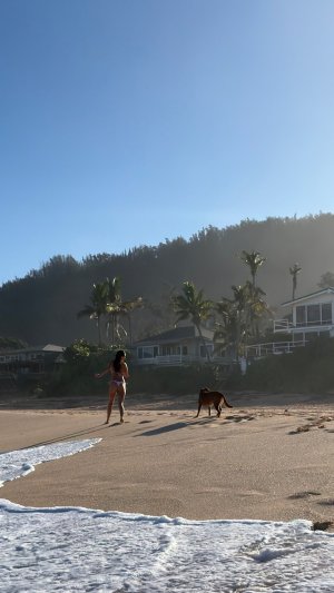 lilychee's2025-12-22-11.54.949 story.jpg