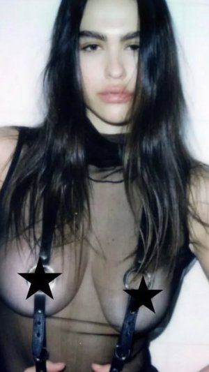 ameliagrayhamlin's2026-1-12-10.53.97 story.jpg