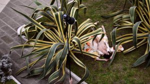 Natasha Legeyda Naked - TheFappeningBlog.com 5.jpg Natasha Legeyda Naked - TheFappeningBlog.com 5.jpg