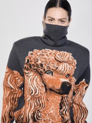 ameliagrayhamlin_3818648246395176571's2026-1-27-11.45.196 story.jpg