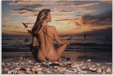 Christie Brinkley.jpeg