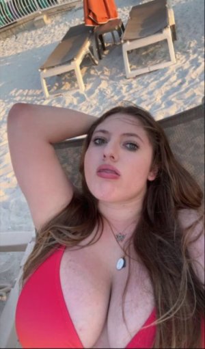 Screenshot 2026-02-27 043500.jpg