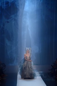 Soo Joo Park See Through - TheFappeningBlog.com 13.jpg