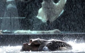 Edyta Herbus Nude Sexy - TheFappeningBlog.com 43.jpg