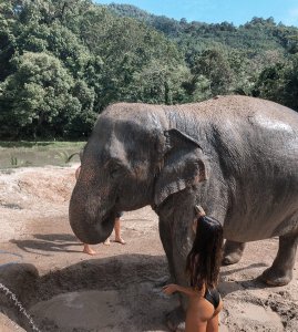 Gabby Shaoni Sexy - TheFappeningBlog.com 13.jpg