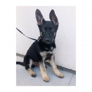 Scarlett Byrne Nude Sexy - TheFappeningBlog.com 35.jpg