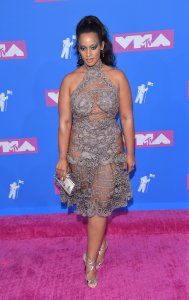 Dascha Polanco See Through Photos - TheFappeningBlog.com 3.jpg