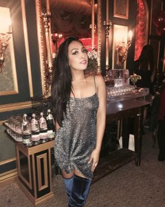 Melinda Shankar See Through thefappeningblog.com.jpg