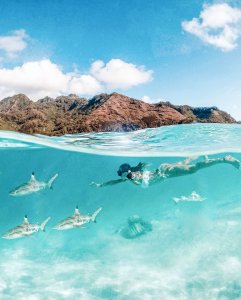 Yvonne Pferrer Sexy - TheFappeningBlog.com 32.jpg