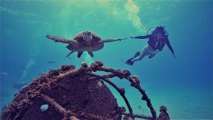 Meaghan Rath Nude & Sexy - TheFappeningBlog.com 33.jpg