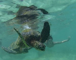 Hayley Erbert Nude & Sexy - TheFappeningBlog.com 33.jpg