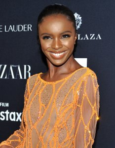 Leomie Anderson See Through - TheFappeningBlog.com 9.jpg