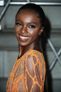 Leomie Anderson See Through - TheFappeningBlog.com 15.jpg