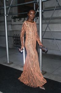 Leomie Anderson See Through - TheFappeningBlog.com 20.jpg