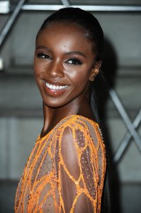 Leomie Anderson See Through - TheFappeningBlog.com 25.jpg