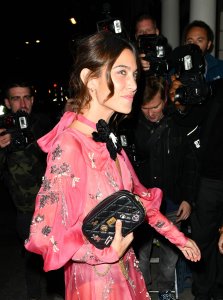 Alexa Chung See Through - TheFappeningBlog.com 10.jpg