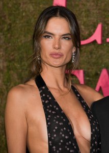 Alessandra Ambrosio Sexy - TheFappeningBlog.com 8.jpg