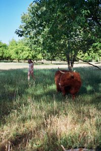 Maria Kn Nude - TheFappeningBlog.com 3.jpg