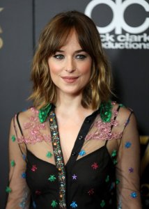 Dakota-Johnson-See-Through-4.jpg