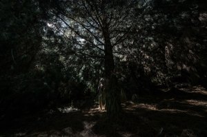 Hadmariz Navarrete Nude - TheFappeningBlog.com 18.jpg