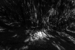 Hadmariz Navarrete Nude - TheFappeningBlog.com 19.jpg