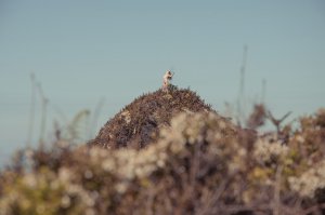 Hadmariz Navarrete Nude - TheFappeningBlog.com 33.jpg