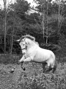 Sarah Nuñez Nude - TheFappeningBlog.com 4.jpeg