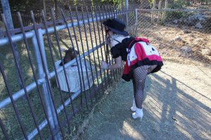 Phoebe Price Sexy - TheFappeningBlog.com 6.jpg