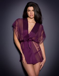 Nicole Harrison See Through & Sexy - TheFappeningBlog.com 15.jpg