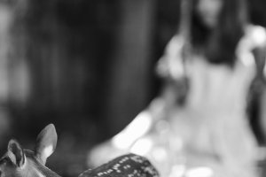 Alyssa Miller Nude - TheFappeningBlog.com 23.jpg