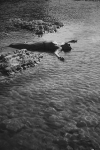 Alyssa Miller Nude - TheFappeningBlog.com 29.jpg