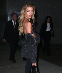 Stella Maxwell Sexy - TheFappeningBlog.com 100.jpg