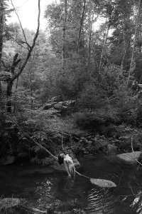 Sheri Chiu Nude - TheFappeningBlog.com 2.jpg