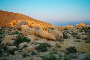 Victoria Plum Nude - TheFappeningBlog.com 3.jpg