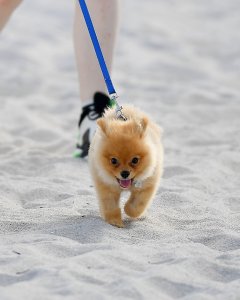 Madison Beer Sexy - TheFappeningBlog.com 125.jpg