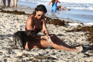 Jessica Ledon Sexy - TheFappeningBlog.com 64.jpg