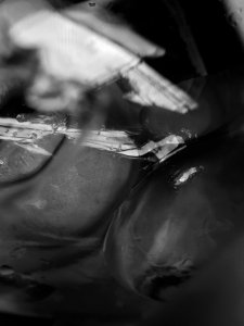 Daria Alexandrova Nude   TheFappeningBlog.com 10.jpg