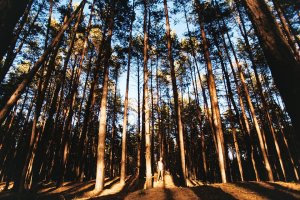 Haferman Nude   TheFappeningBlog.com 1.jpg