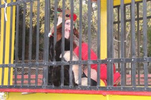 Phoebe Price Sexy - TheFappeningBlog.com 12.jpg