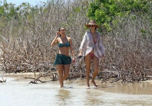 Alessandra Ambrosio Sexy   TheFappeningBlog 81.jpg