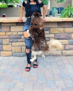 Jailyne Ojeda Ochoa Sexy   TheFappeningBlog.com 44.jpg