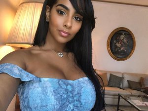 Ayisha Diaz Nude & Sexy   TheFappeningBlog.com 85.jpg