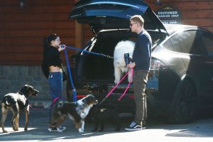 Ariel Winter Sexy   TheFappeningBlog.com 2.jpg