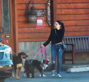 Ariel Winter Sexy   TheFappeningBlog.com 6.jpg