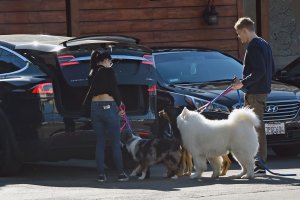 Ariel Winter Sexy   TheFappeningBlog.com 16.jpg