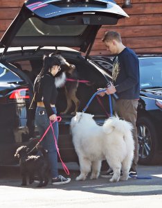 Ariel Winter Sexy   TheFappeningBlog.com 20.jpg