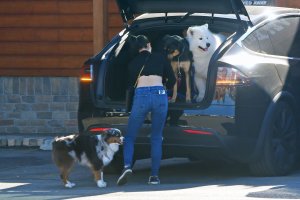 Ariel Winter Sexy   TheFappeningBlog.com 25.jpg