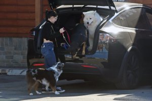 Ariel Winter Sexy   TheFappeningBlog.com 26.jpg