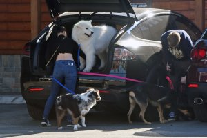 Ariel Winter Sexy   TheFappeningBlog.com 28.jpg